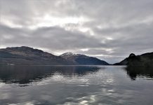 Viridis appointed to transform the Loch Lomond’s transition to net zero transition to net zero