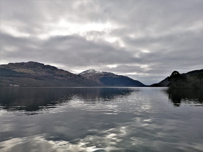 sdr transition to net zero