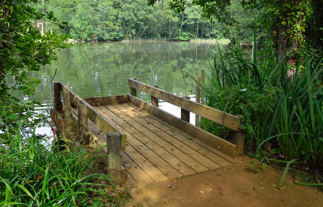 dreamstime_xxl_45094892 Lakeside Development in Bedfordshire