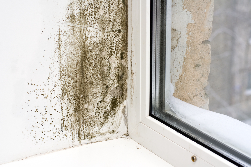 condensation in homes