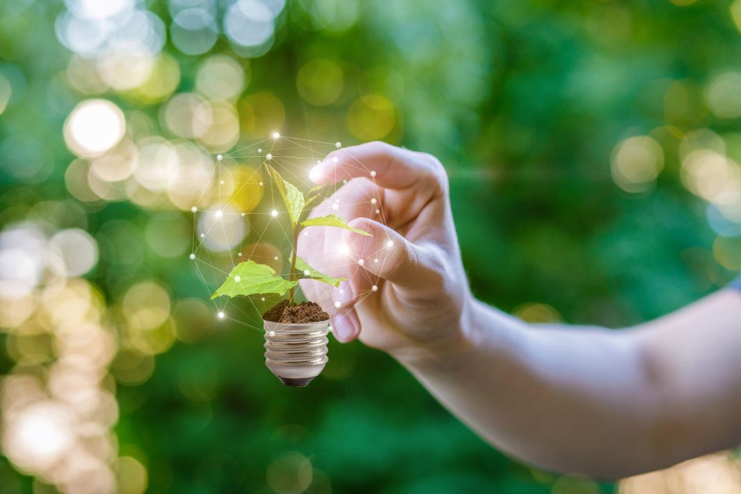 public sector, decarbonisation