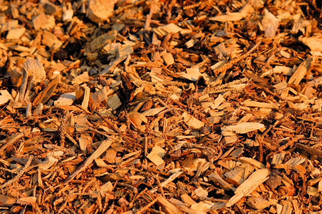 stock image of woodchips