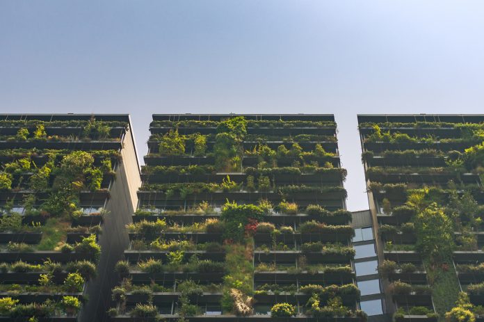 Ahead of COP27, World Green Building Week 2022 calls on the global building and construction sectors to accelerate uptake of low carbon built environment solutions