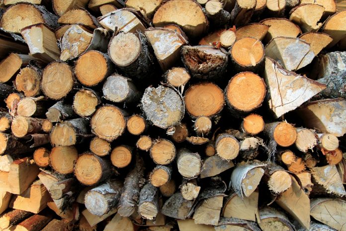 A consortium of experts in timber construction and engineering is exploring ways to boost the use of English timber in the built environment