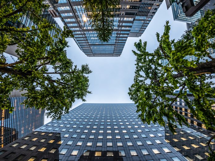 COP27 and the built environment - real estate and corporate construction . looking up view of modern city skyline with trees