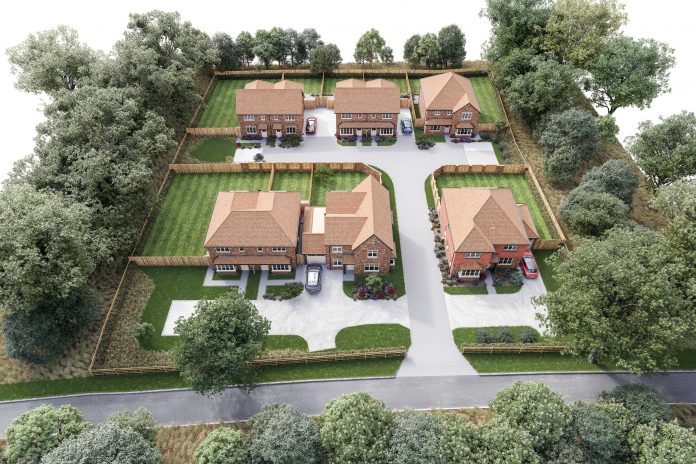 Metis Homes has undertaken £75,000 of ecology and grassland translocation works in preparation for the Hampshire Harbour Reach development 