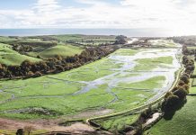 Lower Otter Restoration Project: How nature-based solutions can help us adapt to climate change Lower Otter Restoration Project pano