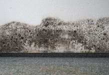 Gove issues update on damp and mould in social housing damp and mould in social housing