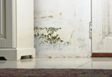 Tackling damp and mould in the social housing sector In this article, Sarah Davis, senior policy and practice officer at the Chartered Institute of Housing (CIH), explores damp and mould in social housing and how the sector can improve standards for tenants