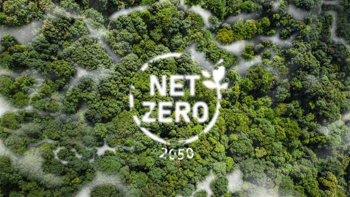 Net Zero 2050 Carbon Neutral and Net Zero Concept natural