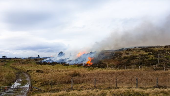 Moorland burns unstopped on hilltop in rural wales a result of climate change and dry summers The Met Office has launched its new Climate Data Portal, which will help to investigate climate risks over the next 50 to 100 years