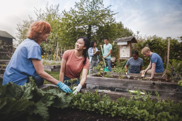 Quality is key in accurate social value calculations Multiracial group of young men and young women gather as volunteers to plant vegetables in community garden with mature woman project manager advice and teamwork, representing the true value of social value calculations