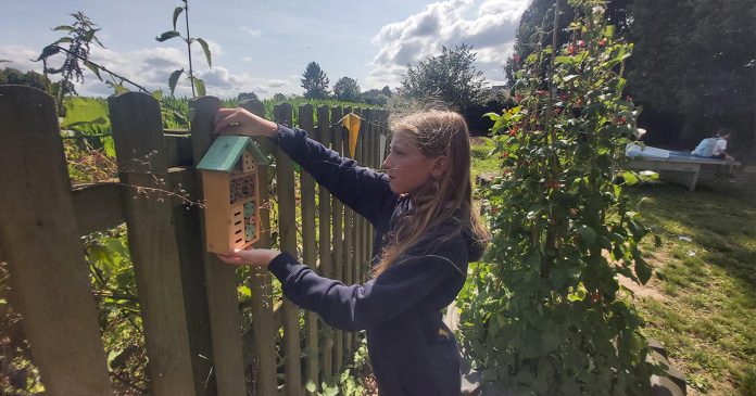 Re-flow and Greener Highways' 'Greener Schools' have brought greater biodiversity to the grounds of Brampford Speke Primary School in Exeter as part of the Greener Schools campaign