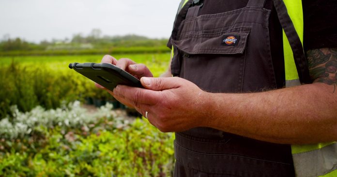 Thumbnail Worker holding a tablet on landscaping site