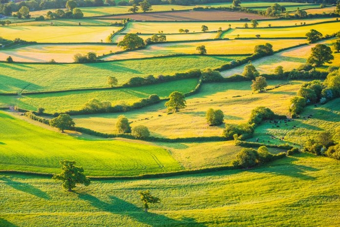 England's green belt - green fields in the UK