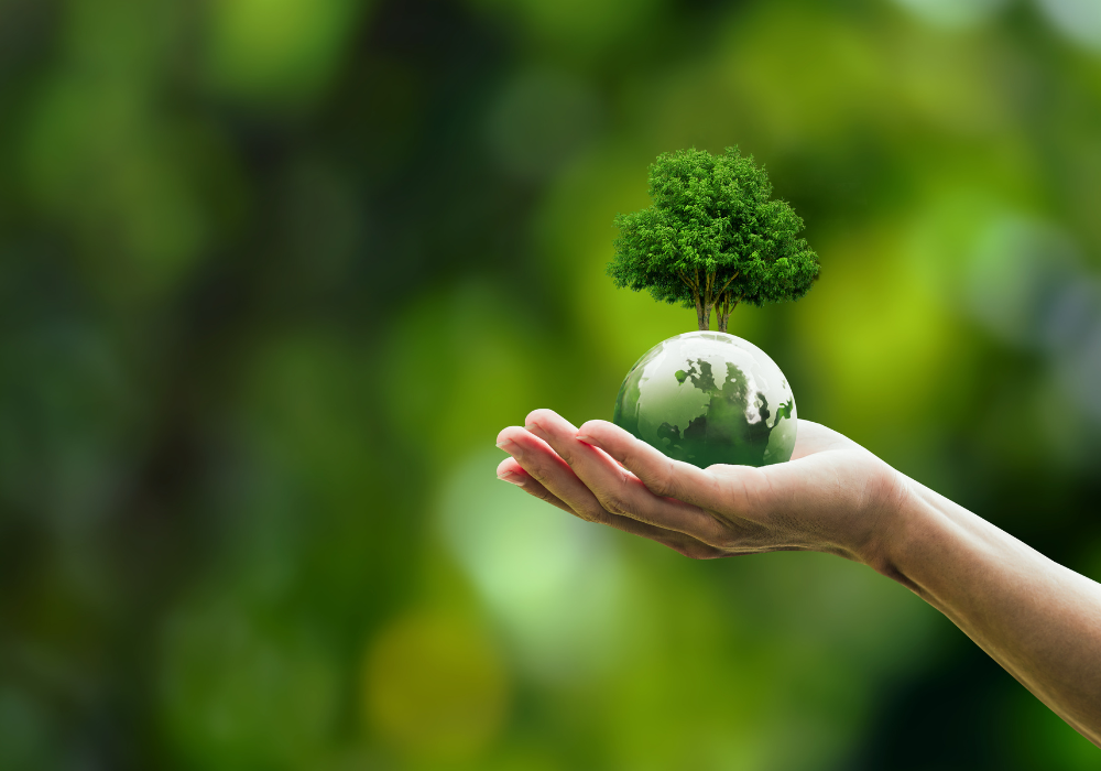net zero hand holding a minature tree, net zero concept