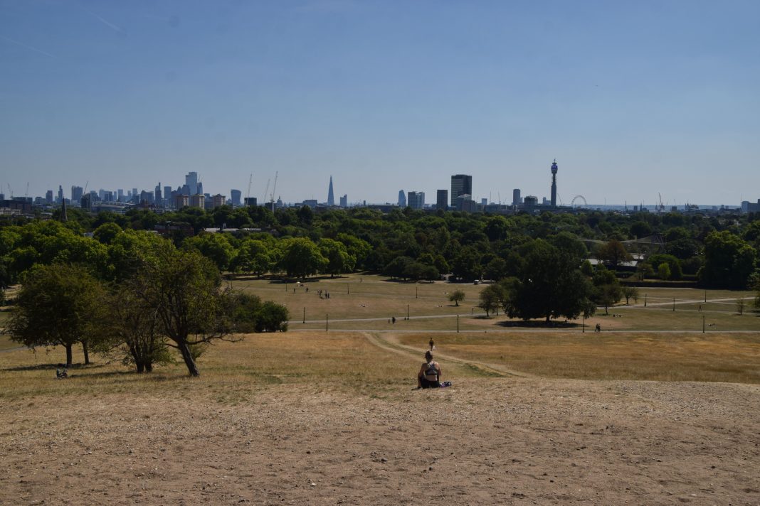 London, UK - August 7 2022: A lone sunbather sits on a parched Primrose Hill as heatwaves and drought continue in the UK, representing London's extreme heat urban islands