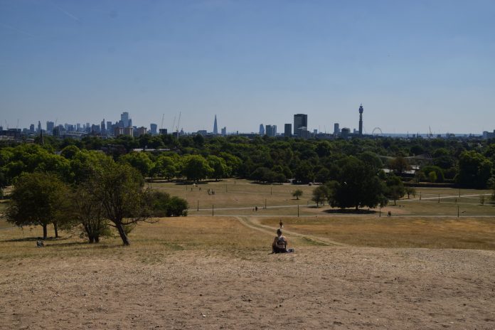 London’s most extreme urban heat island 4.5°C hotter than rural areas, AI finds London, UK - August 7 2022: A lone sunbather sits on a parched Primrose Hill as heatwaves and drought continue in the UK, representing London's extreme heat urban islands