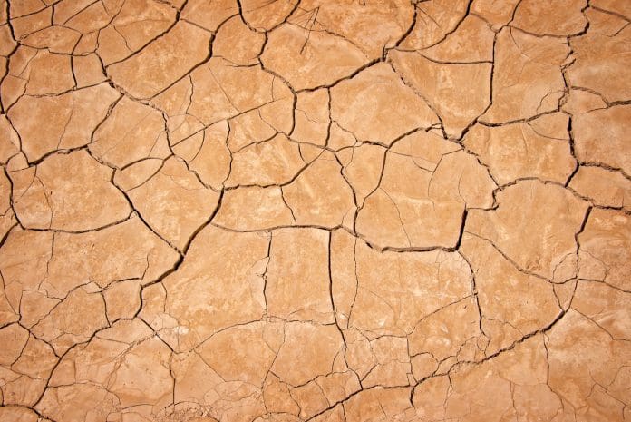 Counting King: Are you eligible to claim land remediation relief? Dry cracked earth background, clay desert texture