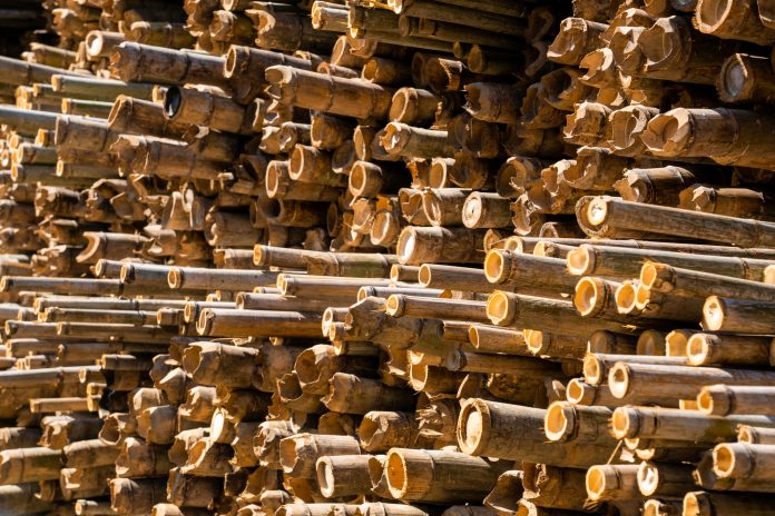 Bamboo-safe construction