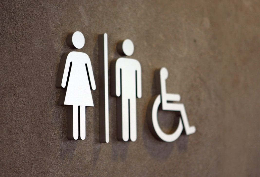 About Access's Ian Streets outlines the training needed for an access auditor when  assessing bathroom accessibility