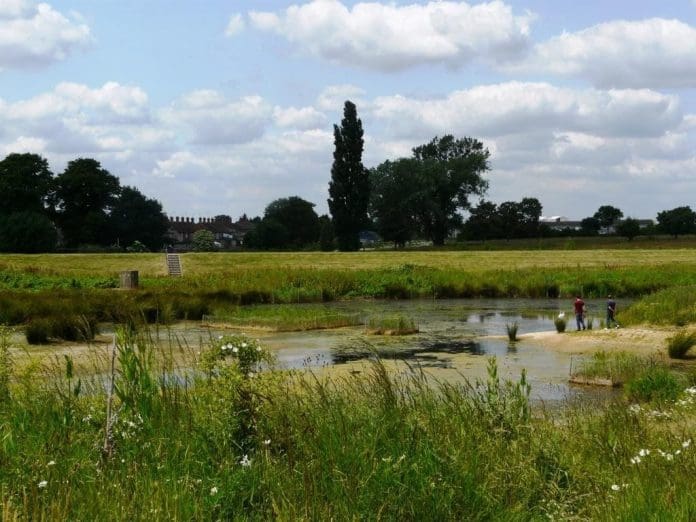 Beam Parklands_© The Land Trust Beam Parklands_© The Land Trust