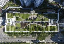 The role of activity roofs in shaping sustainable cities Aerial Shot of Rooftop Garden in Singapore representing activity roofs