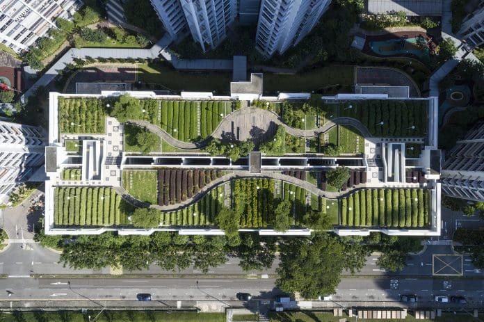 Aerial Shot of Rooftop Garden in Singapore representing activity roofs