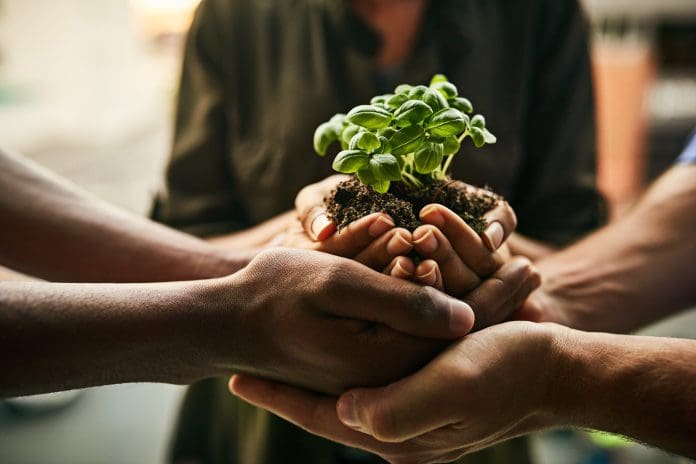 Closeup shot of a group of unidentifiable people holding a plant growing in soil, representing uk housing development
