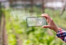 Bridging the biodiversity gap: AI solutions for BNG success Latin American farmer using an app to improve the quality of his crop - technology at a plantation concepts