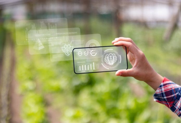 Latin American farmer using an app to improve the quality of his crop - technology at a plantation concepts