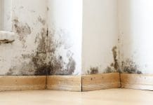 Damp and mould-related surveys: What is a healthy building? Damp buildings damaged by black mold and fungus, dampness or water. infiltration, insulation and mold problems in the wall of the house
