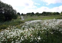Sheffield’s SuDS project reduces flood risk at Manor Fields Park