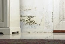 Understanding damp and mould Cornerstone Management Services's David Bly believes more can be done to fight damp, condensation and mould issues in buildings