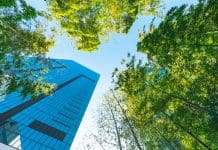 The role of BIM in carbon management Dr Jinying Xu, University of Cambridge, looks at how BIM can help to mitigate carbon emissions on the road to net zero