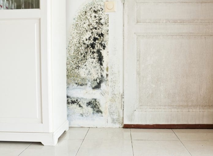 Mold Growth on Wall and Damp Stained Wood Door Blueprint has unveiled the UK's first anti-mould supported housing project, the first project of its kind in the UK to use infrared wallpaper