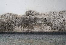 ‘Transformational’ moisture management technology to tackle damp and mould Mould on the wall of an home. New moisture management technology could help to tackle damp problems in housing.