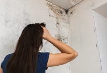 Mould in social housing affecting 99.2% of landlords Mould in social housing can confound tenants and landlords