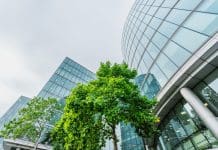 Changing the nature of our policy and planning rhetoric about nature Changing the nature of our policy and planning rhetoric about nature