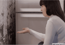 What is a healthy building?