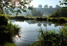 Nature groups send letter regarding planning bill environmental impact The planning bill environmental impact has been criticised by 30+ nature groups