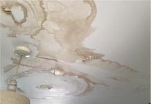 Cornerstone asks: what is a healthy building? Cornerstone's David Bly answers common questions about damp, condensation and mould- as well as how to tell if your building is healthy