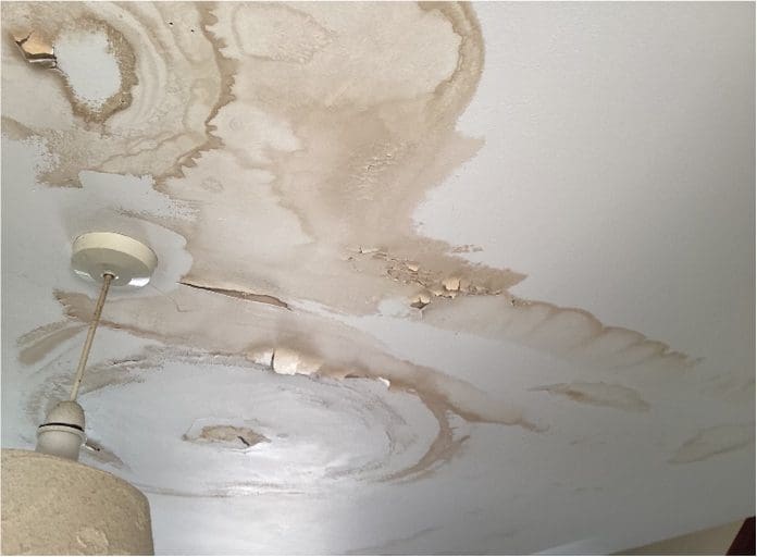 Cornerstone's David Bly answers common questions about damp, condensation and mould- as well as how to tell if your building is healthy