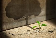 What is the potential of self-healing concrete? Self-healing concrete could upgrade net zero commitments