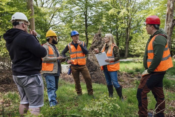 Tree Surgeons in Discussion Full length view of a medium group of tree surgeons standing together discussing plans and strategies. They are wearing work attire and hi-vis jackets while surrounded by towering trees in a forest in Northumberland, North East England, representing public sector budgets