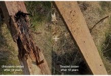 Treated wood outperforms untreated in largest ever UK field trial The 10-year UK field trial compared treated and untreated wood in ground contact applications- with a clear winner