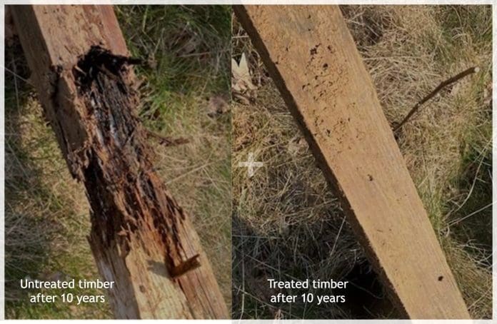 The 10-year UK field trial compared treated and untreated wood in ground contact applications- with a clear winner