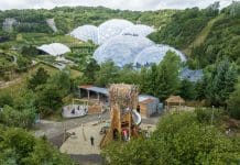 New collaboration to prioritise nature recovery in the built environment Nature recovery in the built environment is vital for the future