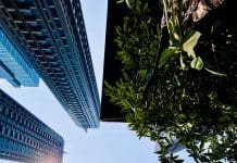 Actions not words: How will we deliver the quality built environment we deserve? We must deliver a built environment that supports society's needs, whilst reducing impact on the natural environment, argues Alison Nicholl