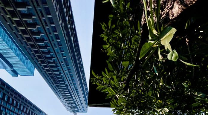 We must deliver a built environment that supports society's needs, whilst reducing impact on the natural environment, argues Alison Nicholl